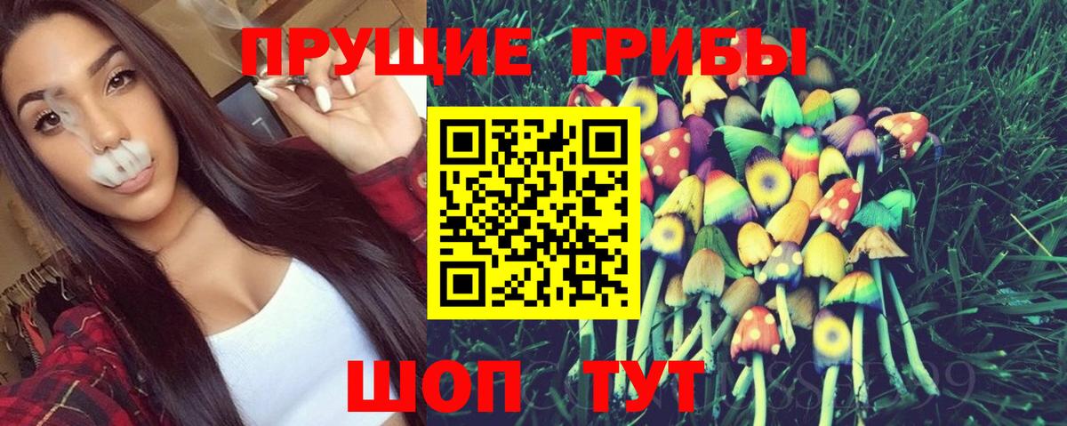 Лосино-Петровский  Псилоцибиновые грибы мухоморы  Вход с VPN 